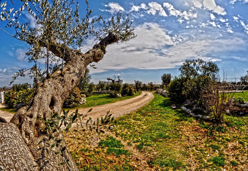 Masseria Rosa Trulli Relais Alberobello Exteriér fotografie