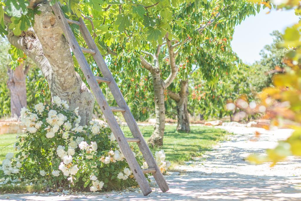 Masseria Rosa Trulli Relais Alberobello Exteriér fotografie